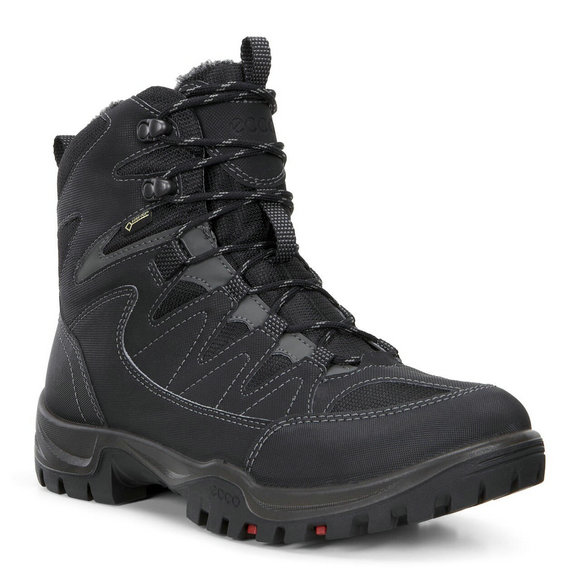 ECCO Mens Xpedition III GTX ECCO Mens Xpedition III GTX